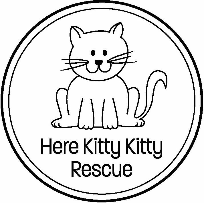 Here Kitty Kitty Rescue